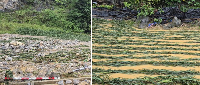 Mưa lớn, sét đánh gây thiệt hại tiền tỉ ở Cao Bằng
