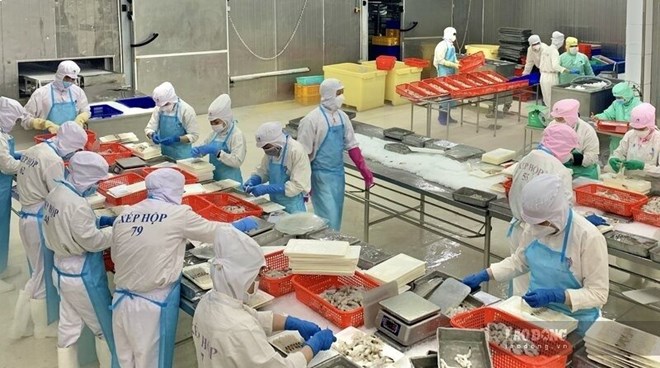 Cam kết thu nhập 12 triệu đồng/tháng, doanh nghiệp ở Cà Mau vẫn khó tuyển lao động