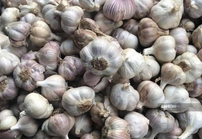 Tỏi tốt nhưng có nhóm người nên hạn chế ăn