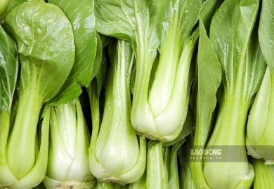 Món canh người bệnh gout có thể ăn thường xuyên