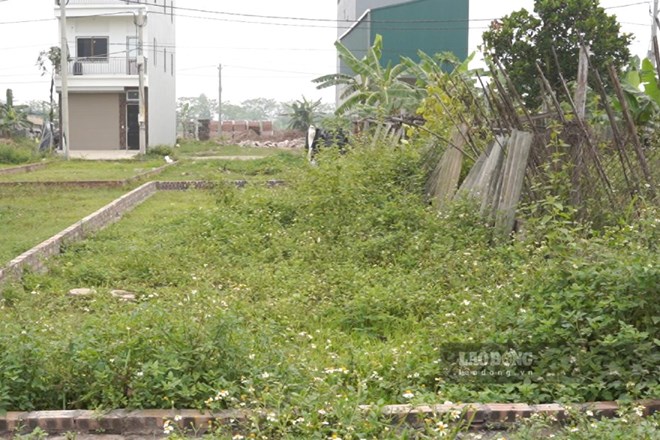 Đất thừa kế chung chưa tách thửa, không thể tự ý bán một phần diện tích