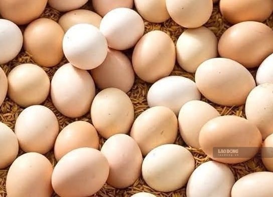 Sau tuổi 50, hãy ăn 5 loại thực phẩm này để chăm sóc xương khớp