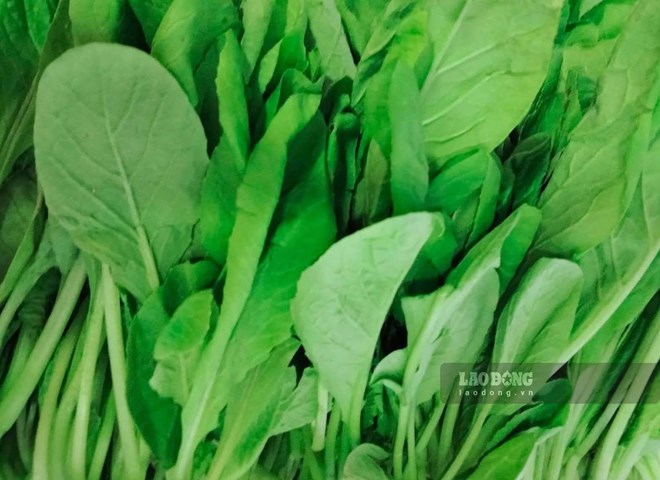 Loại rau có thể hỗ trợ ngủ ngon, có lợi cho huyết áp