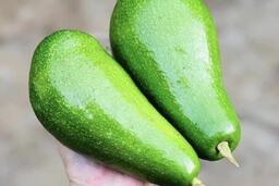 5 loại quả xanh giúp giảm cân tự nhiên