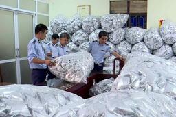 Phát hiện kho chứa 40.000 gói rong biển không rõ nguồn gốc ở Bắc Ninh