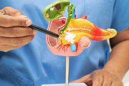 Những dấu hiệu thường gặp cảnh báo men gan tăng