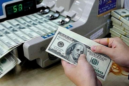 Tỷ giá USD hôm nay 17/06/2025: Đồng USD suy yếu