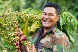 Nestlé và hành trình 3 thập kỷ đồng hành cùng Việt Nam phát triển nông nghiệp bền vững