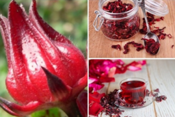 Kiểm soát huyết áp cao bằng thức uống quen thuộc