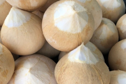 Thức uống quen thuộc giúp dưỡng ẩm da