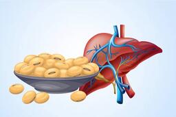 Lợi ích của đậu nành đối với gan