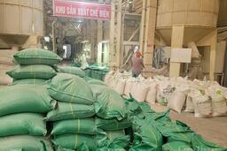 Cú huých cho sản xuất lúa gạo vùng Đồng bằng sông Cửu Long
