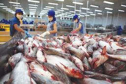 Tần suất điều tra phòng vệ gia tăng: Kích hoạt biện pháp bảo vệ hàng hoá xuất khẩu