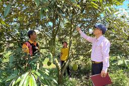 Chư Sê nâng cao hiệu quả tín dụng chính sách trong giai đoạn mới