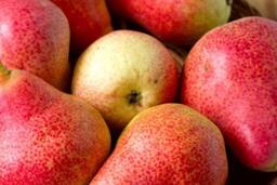 Loại quả ngọt người tiểu đường vẫn có thể ăn