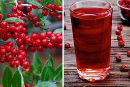 Loại quả giúp thải độc gan thận nên ăn thường xuyên