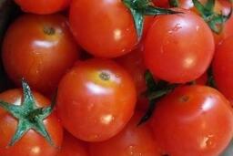 Bí quyết ăn cà chua giúp sống thọ hơn