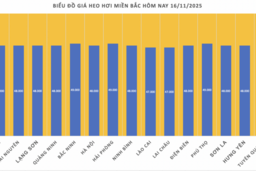 Giá heo hơi hôm nay 16/11/2025: Tạm chững phiên cuối tuần