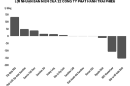 12 công ty liên quan Sunshine Group nợ trái phiếu hơn 18.000 tỷ, áp lực đáo hạn tập trung vào năm sau