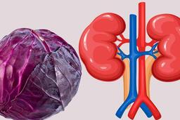 Bổ sung bắp cải tím giúp tăng chức năng thận