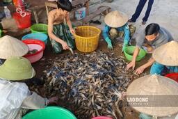 Thủy sản Việt Nam đẩy mạnh chuyển đổi xanh hướng tới phát triển bền vững