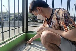 Xử lý đối với Công ty Xi măng Bỉm Sơn vì gây bụi cho khu dân cư