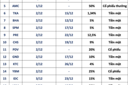 Loạt doanh nghiệp chốt quyền chia cổ tức tiền mặt tuần tới, tỷ lệ cao nhất 40%