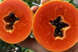 Chế độ ăn cho thận khỏe: Đừng quên đu đủ