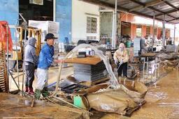 Doanh nghiệp Gia Lai từng bước khôi phục sản xuất sau mưa lũ