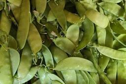 Loại đậu giúp giải độc gan và tăng cường chức năng gan