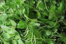 Cách ăn rau má giúp ngủ ngon hơn, giảm căng thẳng