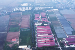 Dabaco đầu tư Cụm công nghiệp Lạc Vệ từ tháng 6/2026