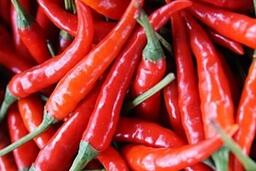 Người huyết áp cao có nên ăn ớt không?
