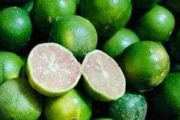 Điều gì xảy ra với cơ thể nếu chỉ uống nước chanh và bỏ bữa sáng