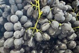 Loại trái cây nhỏ nhưng bổ não, tốt cho tim mạch