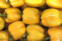 Bí quyết chế biến ớt chuông vàng giúp đôi mắt sáng khỏe