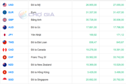 Tỷ giá USD ngày 25/12/2025: 'Chợ đen' biến động mạnh