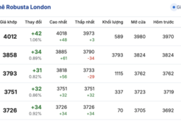 Giá cà phê hôm nay 27/12/2025: Tiếp tục tăng mạnh