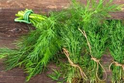 Ngủ ngon hơn với rau thì là