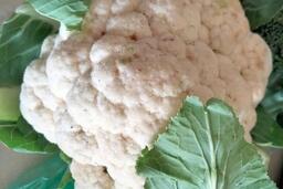 Súp lơ trắng nên được tăng cường trong chế độ ăn của người lao động nào?