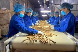 Công nghệ xanh ‘mở lối’ tăng trưởng bền vững trong trật tự kinh tế mới