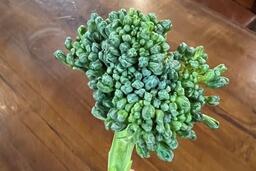 Tăng cơ bắp bằng loại rau đang vào mùa