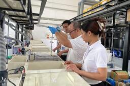 Tận dụng ‘làn sóng lớn’ để doanh nghiệp vươn xa chuỗi giá trị toàn cầu