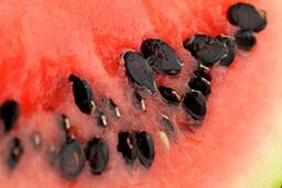 Giảm cân lành mạnh bằng hạt dưa hấu