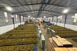 Đồng Tháp: Doanh nghiệp xuất khẩu tăng tốc sản xuất ngay sau Tết