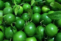 Mẹo nhỏ buổi sáng giúp thận đào thải axit uric