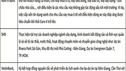 Tín dụng xanh tại Việt Nam: Thực trạng và các khuyến nghị chính sách