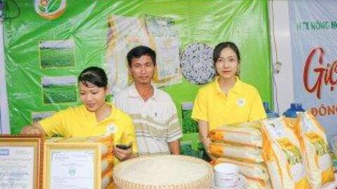 Ngành Ngân hàng TP. Cần Thơ đồng hành hỗ trợ nguồn lực về vốn cho hợp tác xã