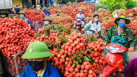 Đồng bộ các giải pháp hỗ trợ nông dân, phục hồi phát triển nông nghiệp, nông thôn bền vững