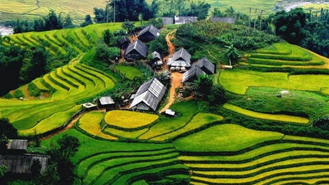 Phó Thủ tướng Thường trực Chính phủ Phạm Bình Minh làm Chủ tịch Hội đồng điều phối vùng trung du và miền núi phía Bắc